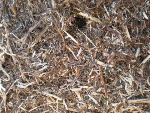 Bois Raméal Fragmenté (BRF) (Photo : CEN Poitou-Charentes) 