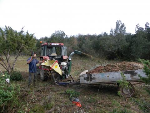 Transformation des produits de coupe en BRF (Photo : CEN Poitou-Charentes)