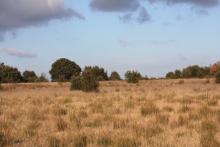 Les chaumes de Sèchebec